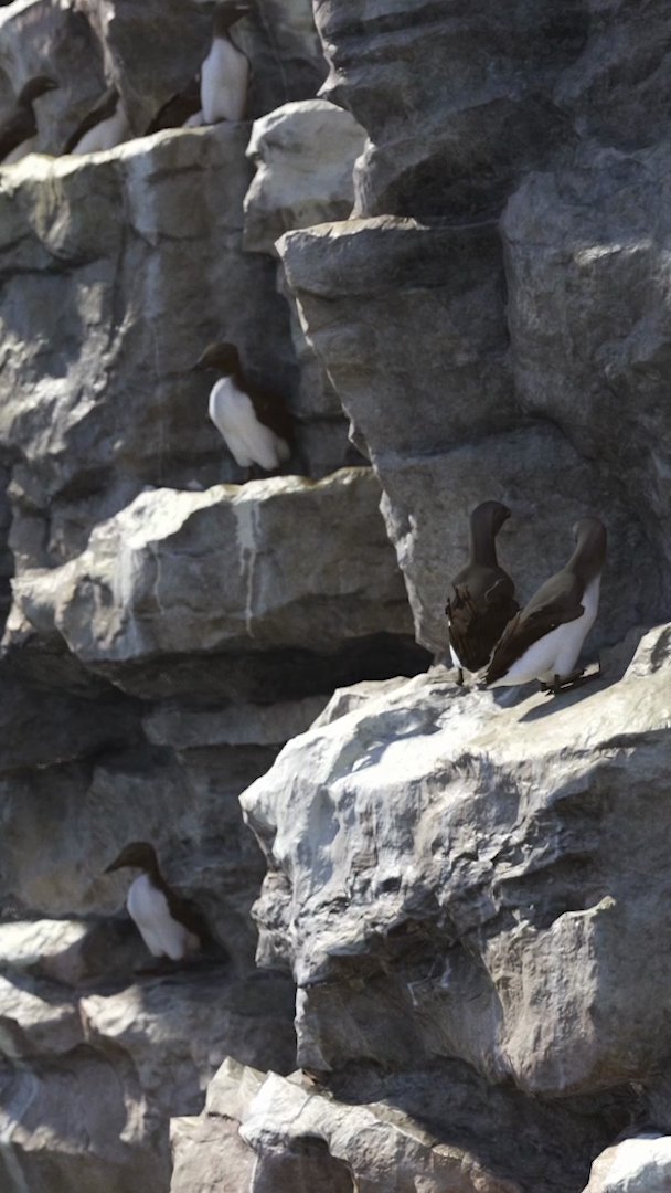 Hero Mobile Video Frame 3